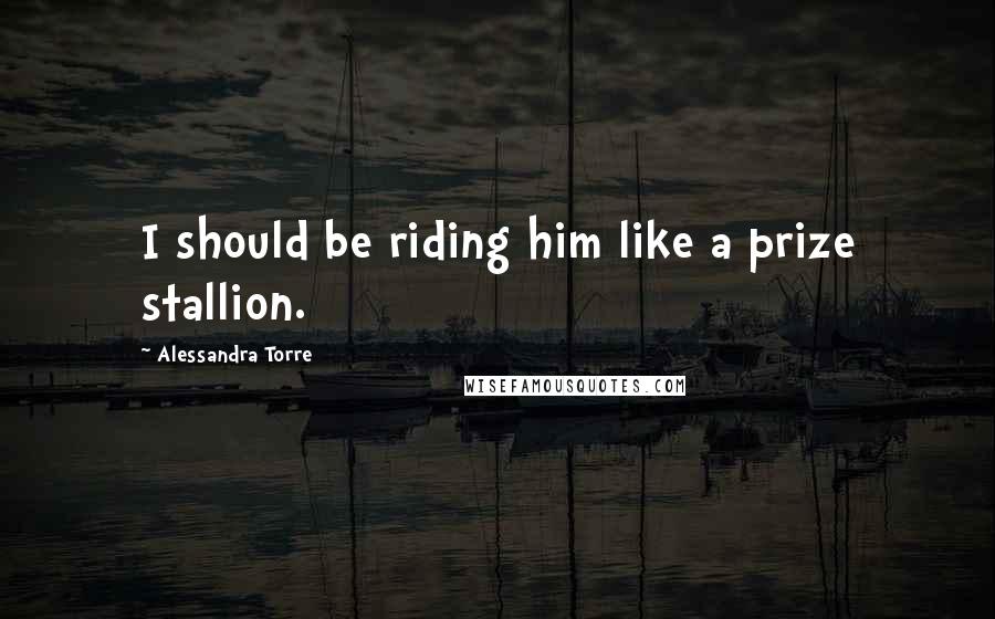 Alessandra Torre quotes: I should be riding him like a prize stallion.