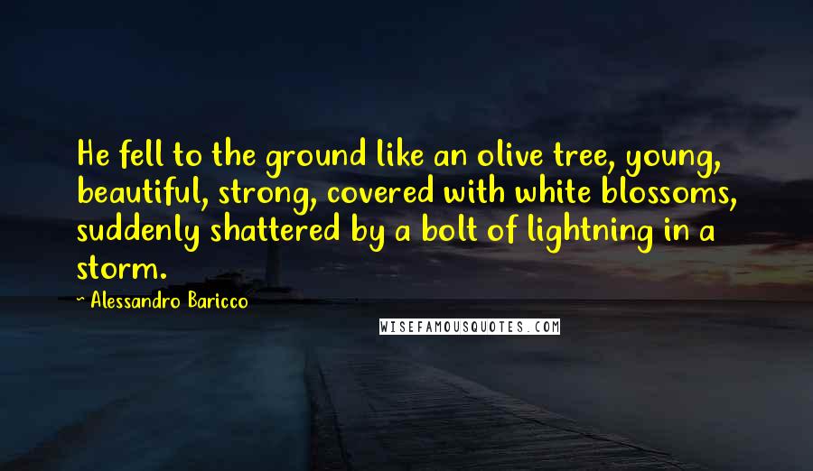 Alessandro Baricco quotes: He fell to the ground like an olive tree, young, beautiful, strong, covered with white blossoms, suddenly shattered by a bolt of lightning in a storm.