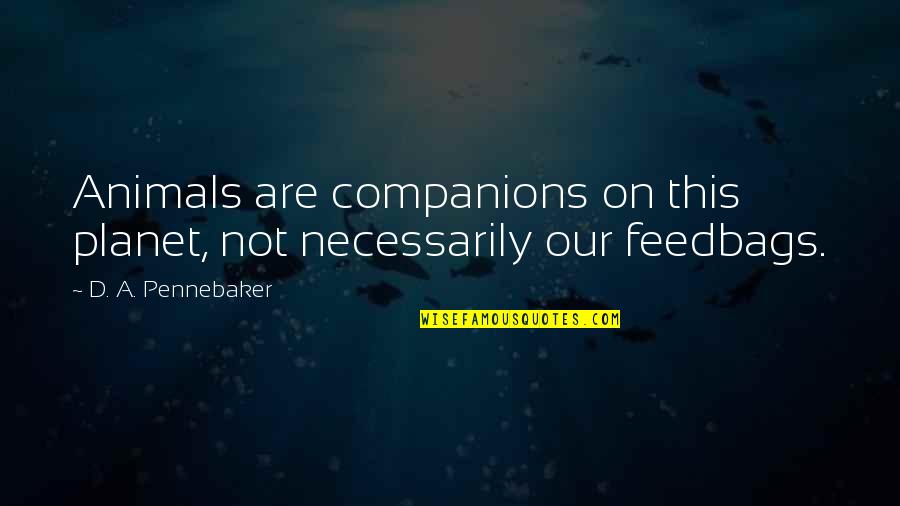 Alessandroni Fischio Quotes By D. A. Pennebaker: Animals are companions on this planet, not necessarily