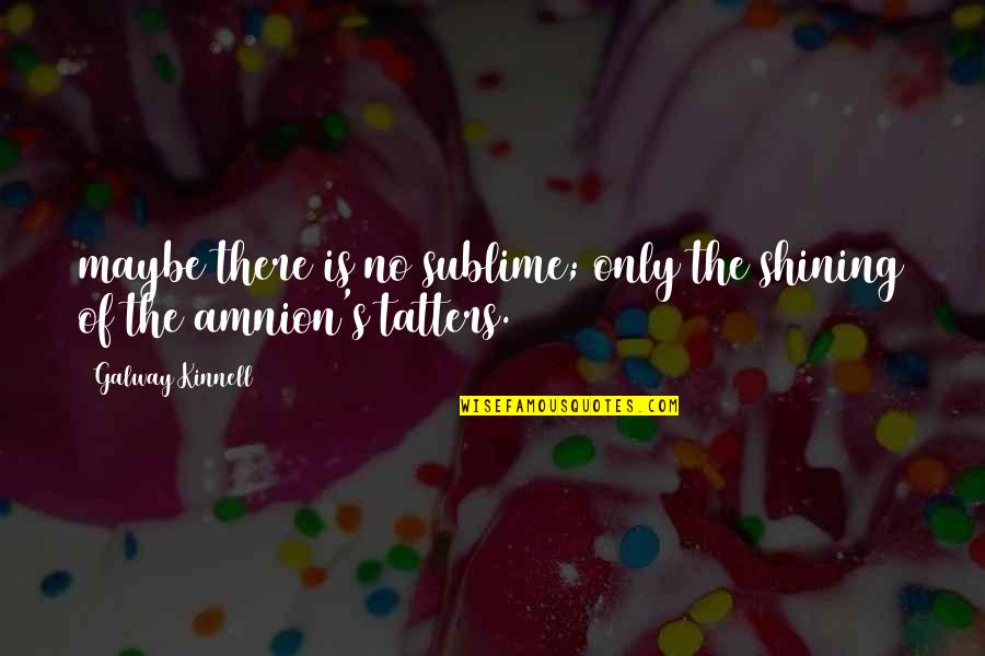 Alette Banner Quotes By Galway Kinnell: maybe there is no sublime; only the shining Alette Banner Quotes By Galway Kinnell: maybe there is no sublime; only the shining