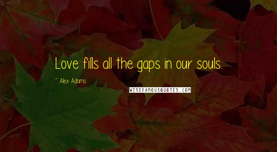 Alex Adams quotes: Love fills all the gaps in our souls.