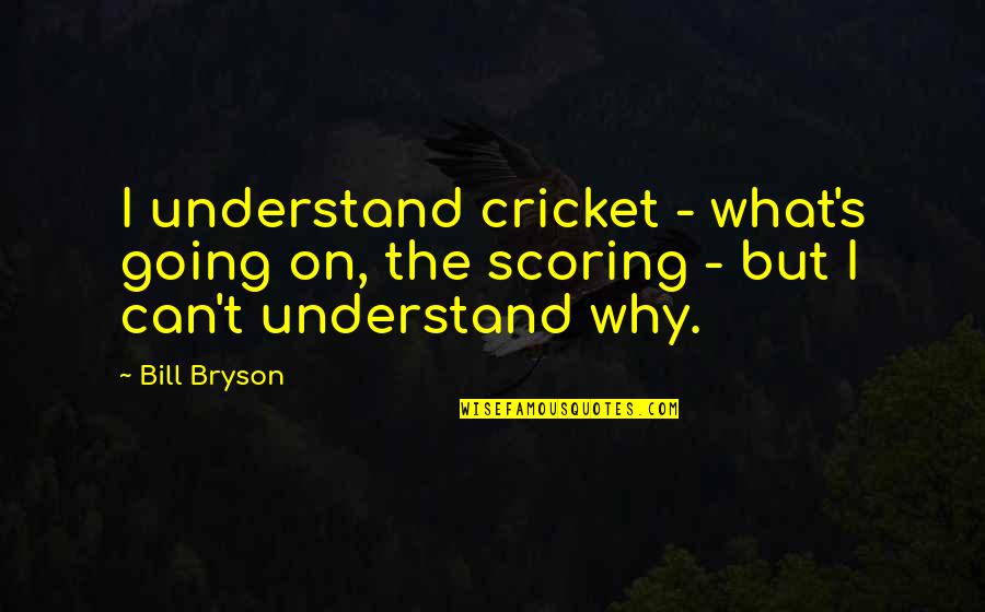 Alex Decoteau Quotes By Bill Bryson: I understand cricket - what's going on, the