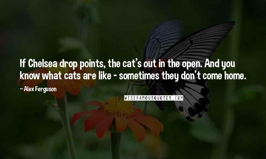 Alex Ferguson quotes: If Chelsea drop points, the cat's out in the open. And you know what cats are like - sometimes they don't come home. Alex Ferguson quotes: If Chelsea drop points, the cat's out in the open. And you know what cats are like - sometimes they don't come home.