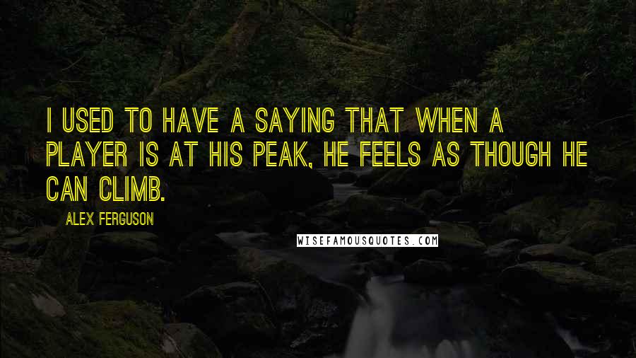 Alex Ferguson quotes: I used to have a saying that when a player is at his peak, he feels as though he can climb.