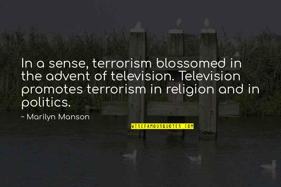 Alex Honnold Climbing Quotes By Marilyn Manson: In a sense, terrorism blossomed in the advent