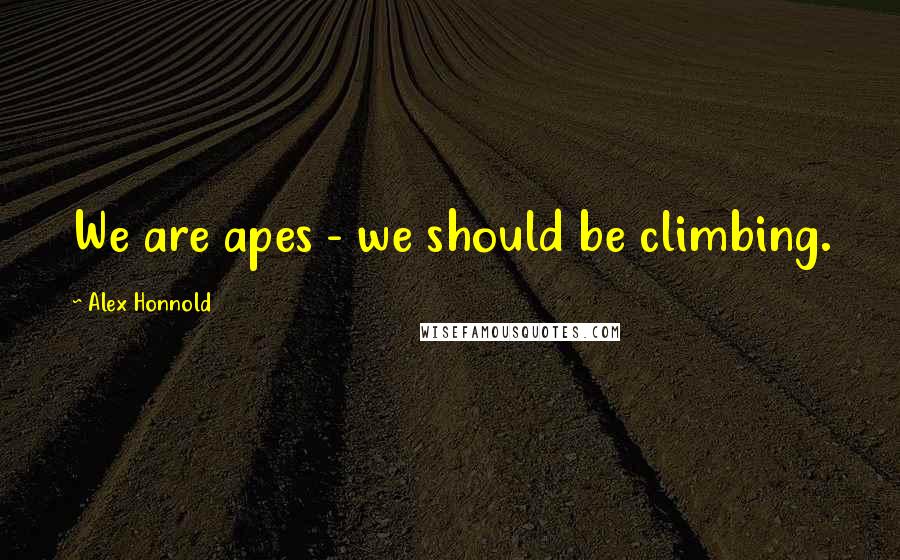 Alex Honnold quotes: We are apes - we should be climbing.