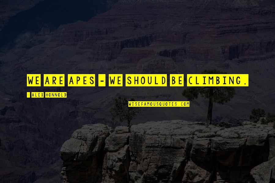 Alex Honnold Quotes By Alex Honnold: We are apes - we should be climbing. Alex Honnold Quotes By Alex Honnold: We are apes - we should be climbing.