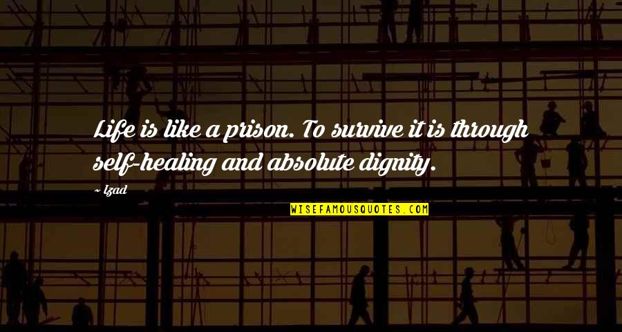Alex Kinsey Quotes By Izad: Life is like a prison. To survive it