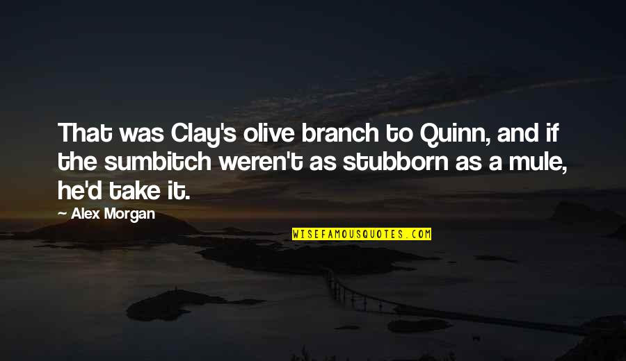 Alex Morgan Quotes By Alex Morgan: That was Clay's olive branch to Quinn, and Alex Morgan Quotes By Alex Morgan: That was Clay's olive branch to Quinn, and