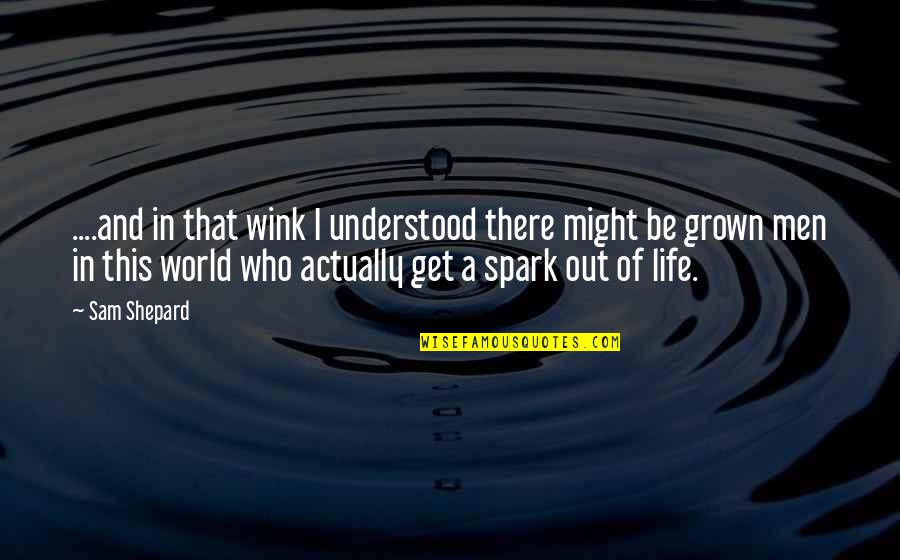 Alex Sink Quotes By Sam Shepard: ....and in that wink I understood there might