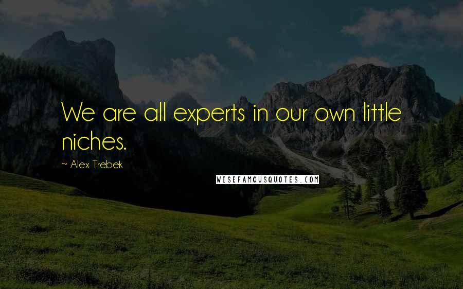 Alex Trebek quotes: We are all experts in our own little niches.