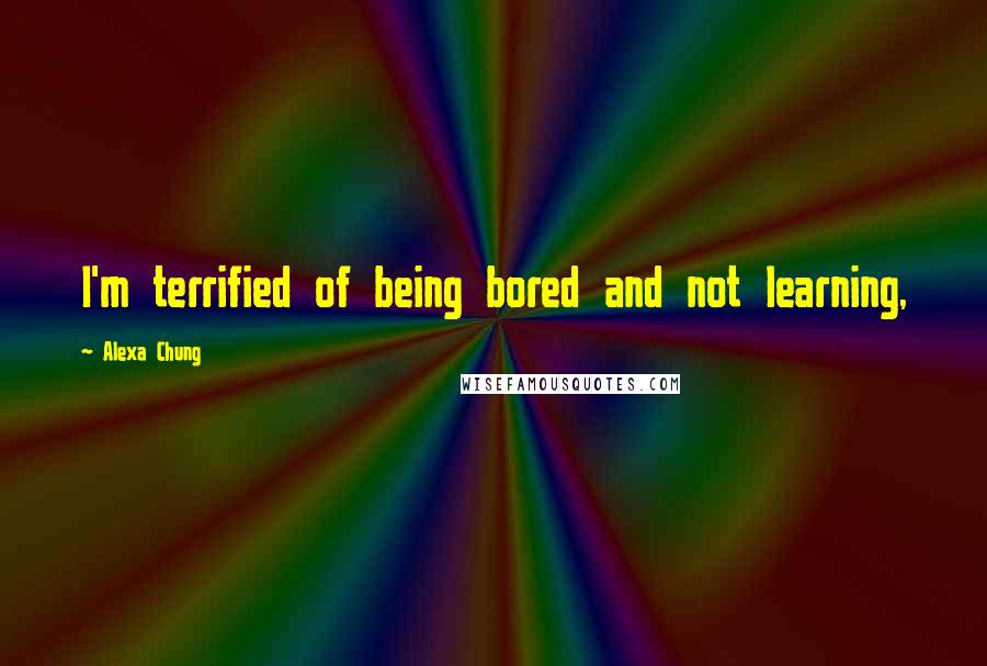 Alexa Chung quotes: I'm terrified of being bored and not learning,