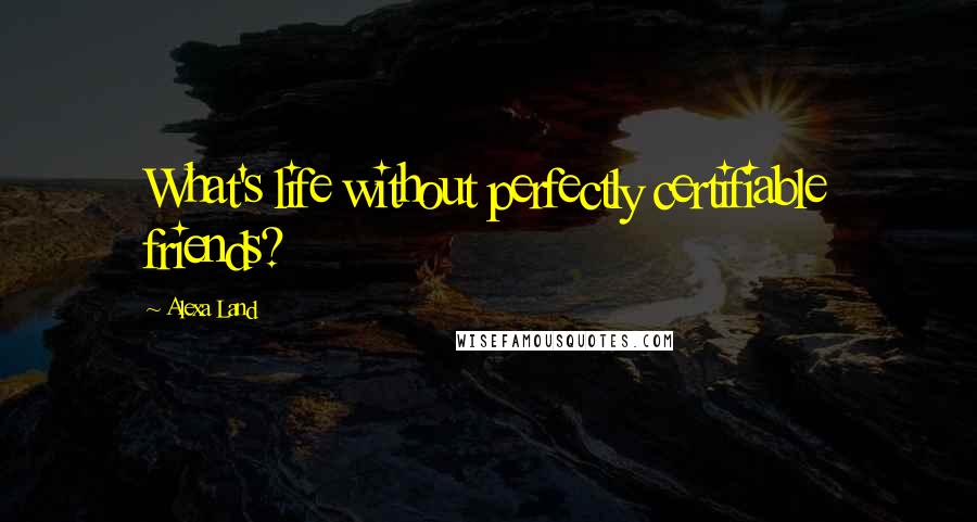 Alexa Land quotes: What's life without perfectly certifiable friends?