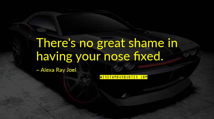 Alexa Ray Joel Quotes By Alexa Ray Joel: There's no great shame in having your nose Alexa Ray Joel Quotes By Alexa Ray Joel: There's no great shame in having your nose