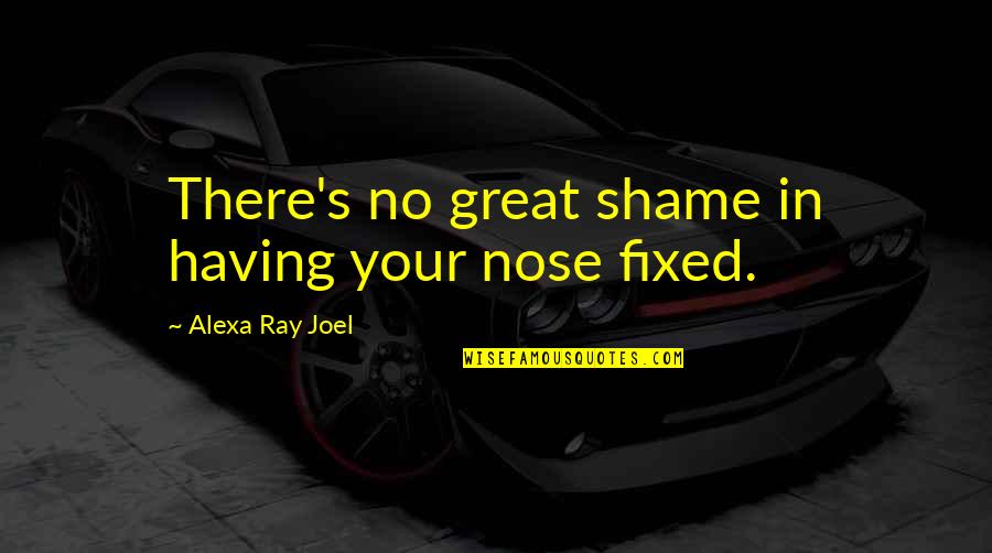 Alexa Ray Joel Quotes By Alexa Ray Joel: There's no great shame in having your nose