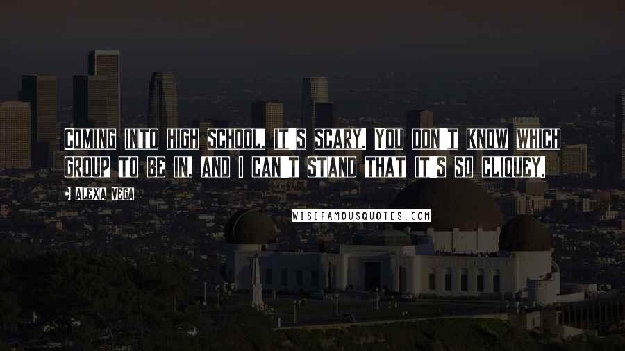 Alexa Vega quotes: Coming into high school, it's scary. You don't know which group to be in, and I can't stand that it's so cliquey.