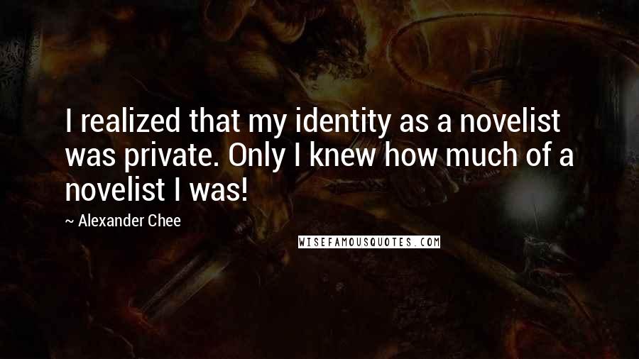 Alexander Chee quotes: I realized that my identity as a novelist was private. Only I knew how much of a novelist I was!