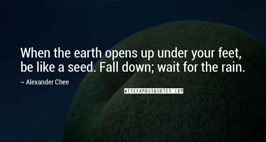 Alexander Chee quotes: When the earth opens up under your feet, be like a seed. Fall down; wait for the rain.