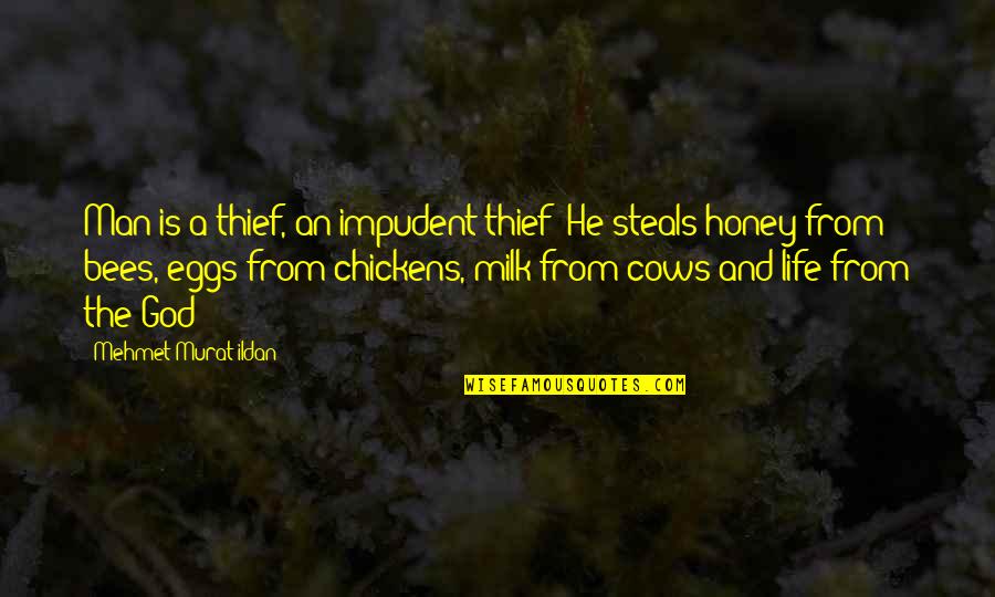 Alexander Galt Quotes By Mehmet Murat Ildan: Man is a thief, an impudent thief! He