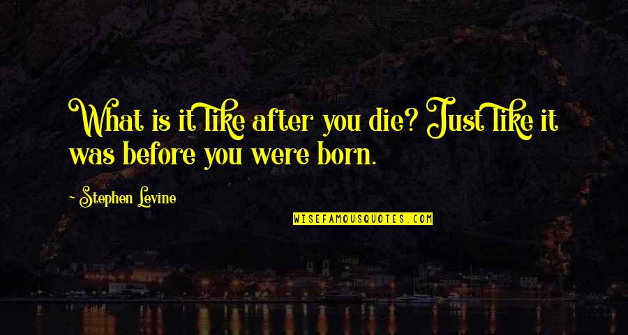 Alexander Hamilton Manufacturing Quotes By Stephen Levine: What is it like after you die? Just