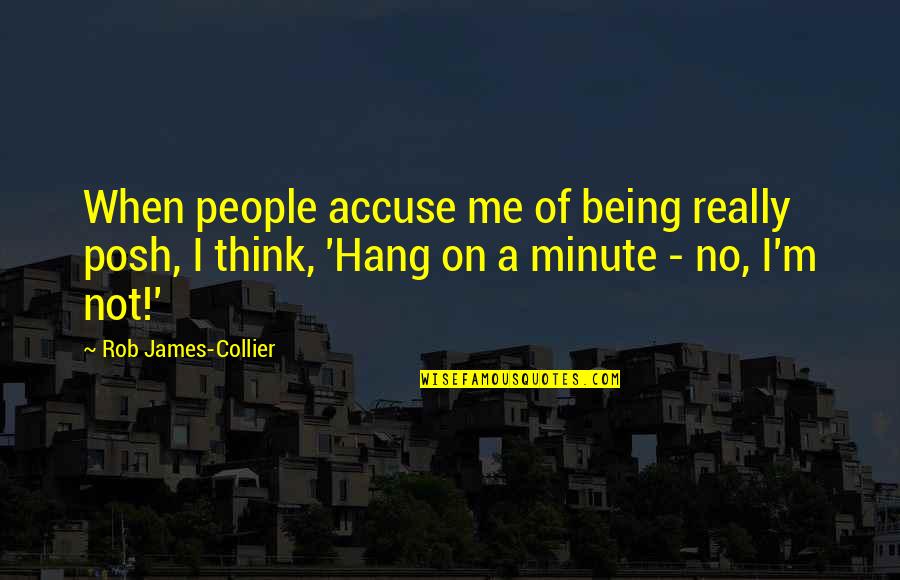 Alexander Hamilton Motivational Quotes By Rob James-Collier: When people accuse me of being really posh,