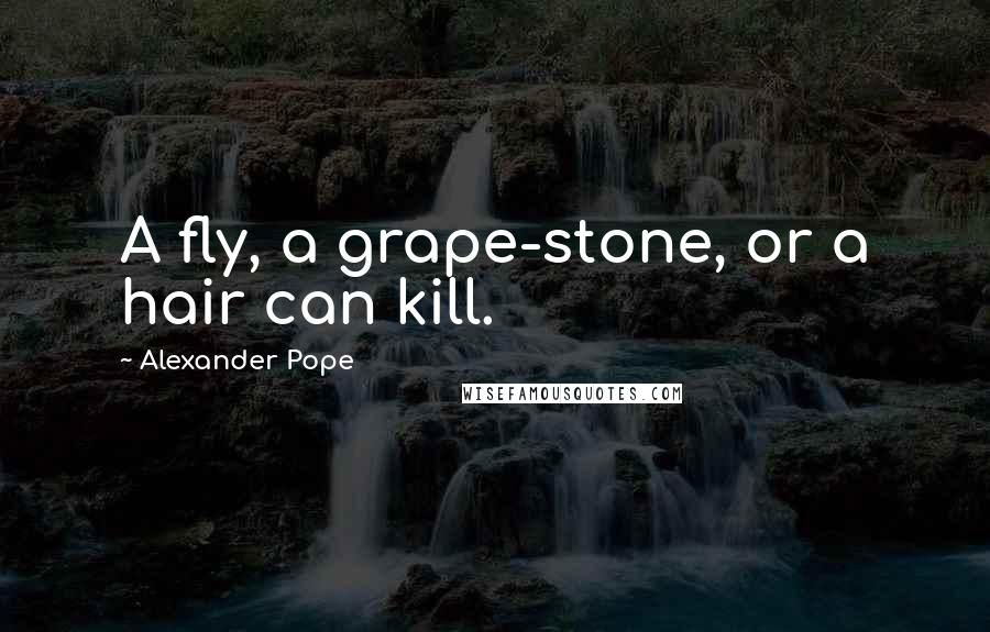 Alexander Pope quotes: A fly, a grape-stone, or a hair can kill.