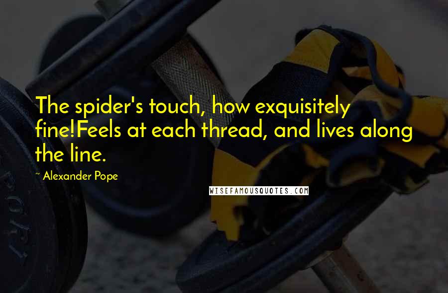 Alexander Pope quotes: The spider's touch, how exquisitely fine!Feels at each thread, and lives along the line.