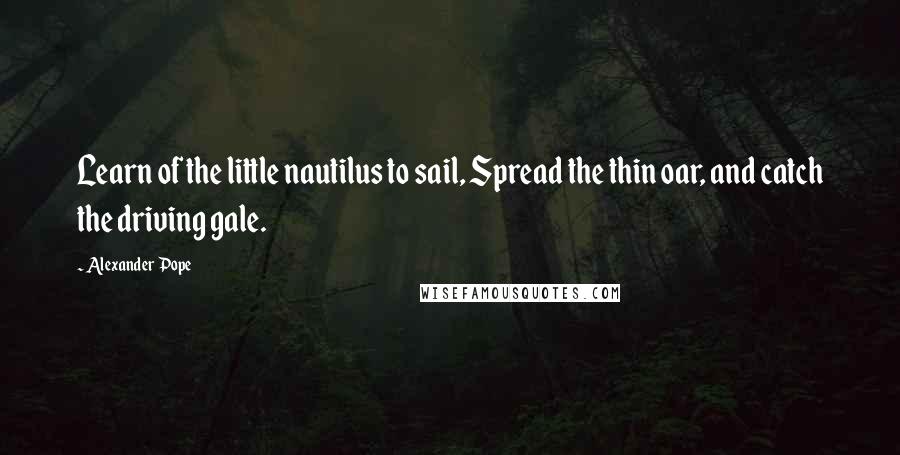 Alexander Pope quotes: Learn of the little nautilus to sail, Spread the thin oar, and catch the driving gale.