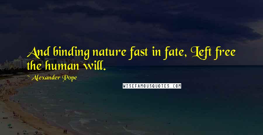 Alexander Pope quotes: And binding nature fast in fate, Left free the human will.