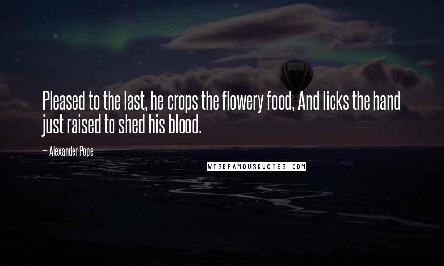 Alexander Pope quotes: Pleased to the last, he crops the flowery food, And licks the hand just raised to shed his blood.