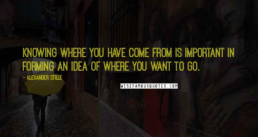 Alexander Stille quotes: Knowing where you have come from is important in forming an idea of where you want to go.