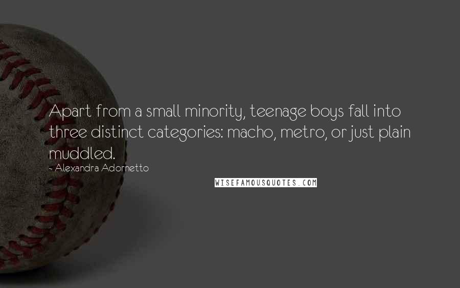Alexandra Adornetto quotes: Apart from a small minority, teenage boys fall into three distinct categories: macho, metro, or just plain muddled.