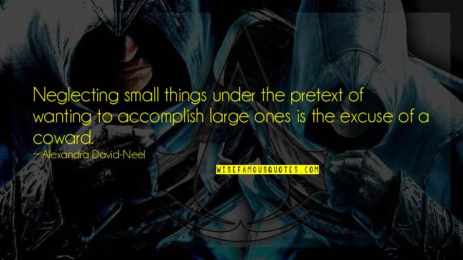 Alexandra David Neel Quotes By Alexandra David-Neel: Neglecting small things under the pretext of wanting