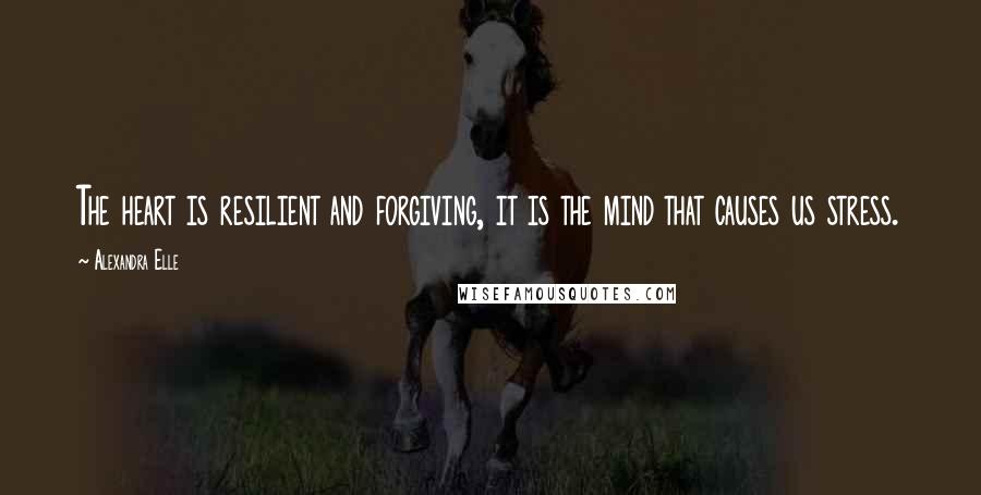 Alexandra Elle quotes: The heart is resilient and forgiving, it is the mind that causes us stress.