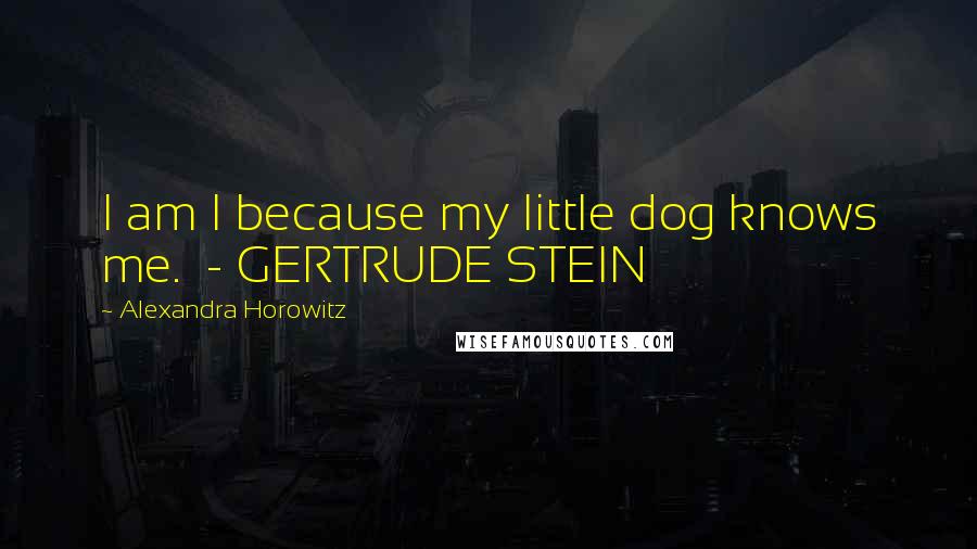 Alexandra Horowitz quotes: I am I because my little dog knows me. - GERTRUDE STEIN