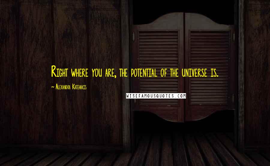 Alexandra Katehakis quotes: Right where you are, the potential of the universe is.