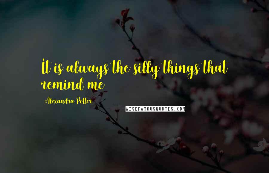 Alexandra Potter quotes: It is always the silly things that remind me