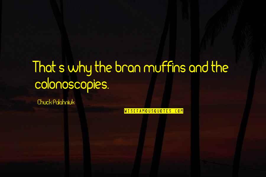 Alexandrine Parakeet Quotes By Chuck Palahniuk: That's why the bran muffins and the colonoscopies. Alexandrine Parakeet Quotes By Chuck Palahniuk: That's why the bran muffins and the colonoscopies.