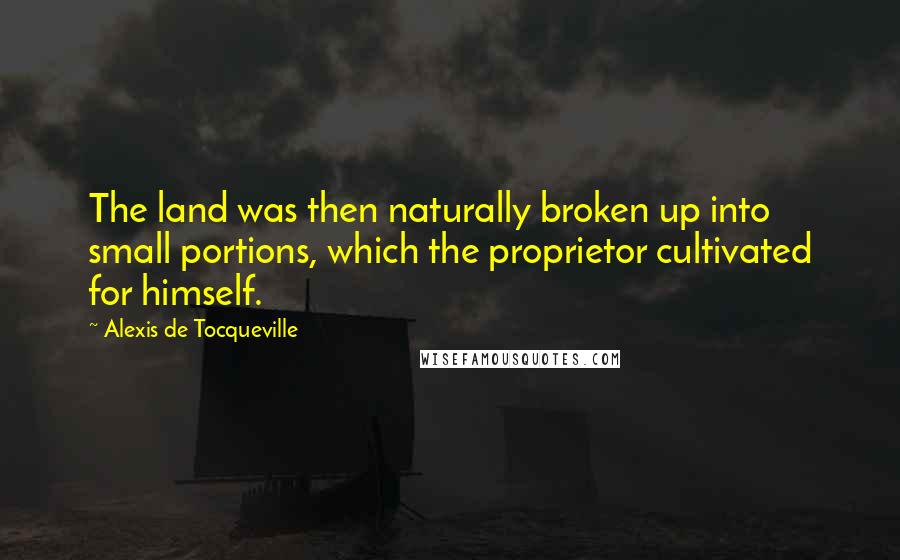 Alexis De Tocqueville quotes: The land was then naturally broken up into small portions, which the proprietor cultivated for himself.