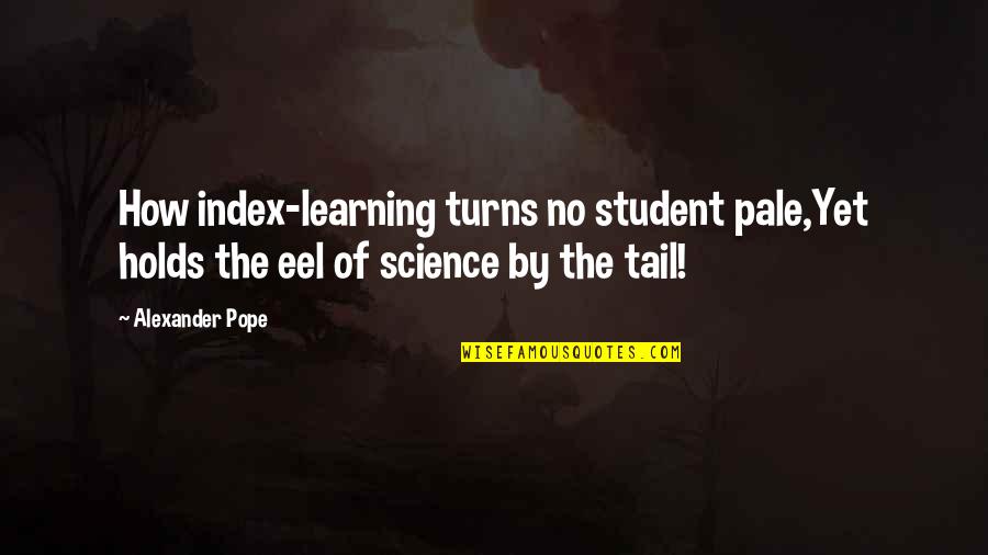 Alf Melmac Quotes By Alexander Pope: How index-learning turns no student pale,Yet holds the