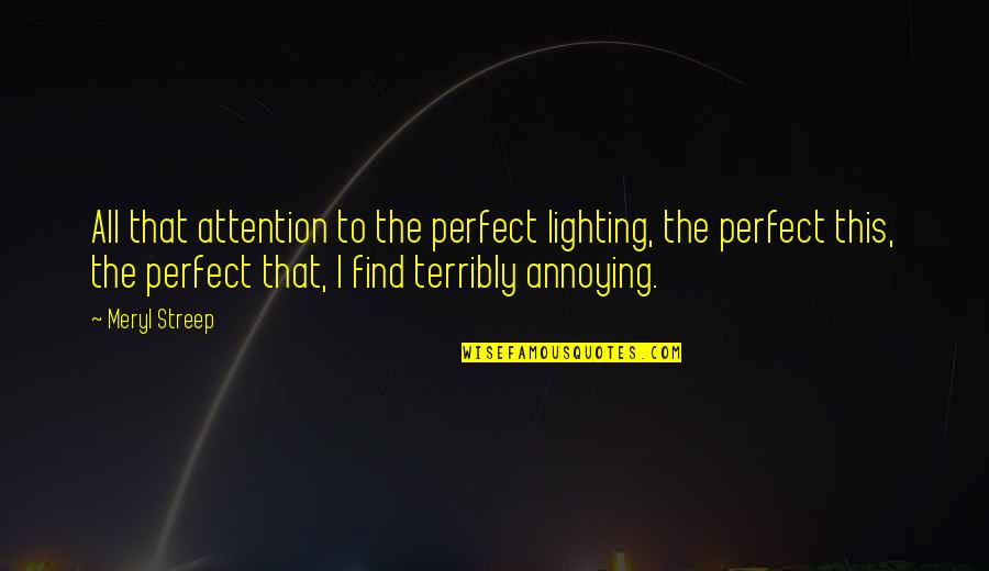 Alf The Alien Quotes By Meryl Streep: All that attention to the perfect lighting, the