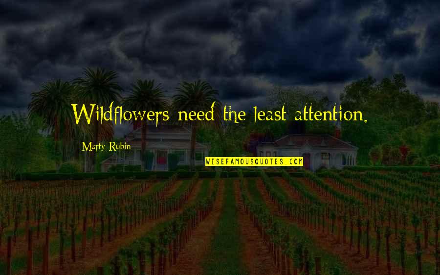 Alfaro Family Vineyards Quotes By Marty Rubin: Wildflowers need the least attention.