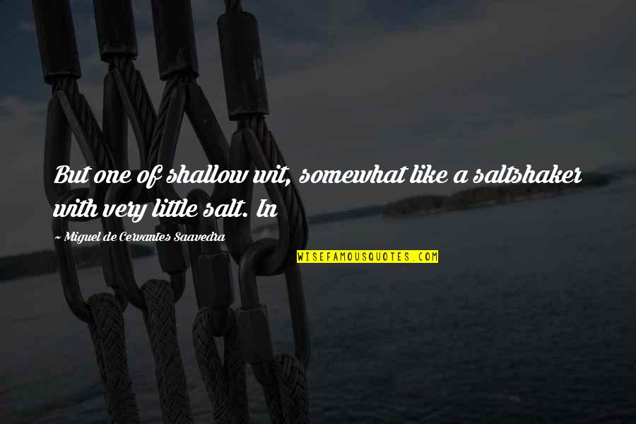 Alferova N Forum Quotes By Miguel De Cervantes Saavedra: But one of shallow wit, somewhat like a