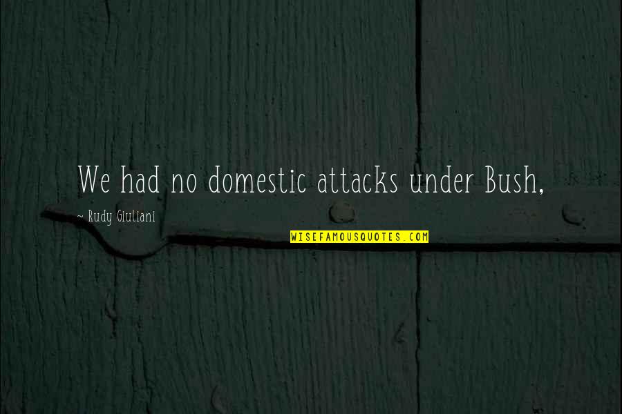 Alfie Elkins Quotes By Rudy Giuliani: We had no domestic attacks under Bush,