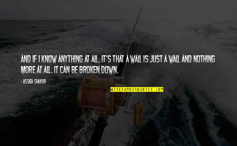 Alfonseca Hands Quotes By Assata Shakur: And if I know anything at all, it's Alfonseca Hands Quotes By Assata Shakur: And if I know anything at all, it's