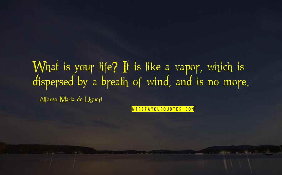 Alfonso Quotes By Alfonso Maria De Liguori: What is your life? It is like a