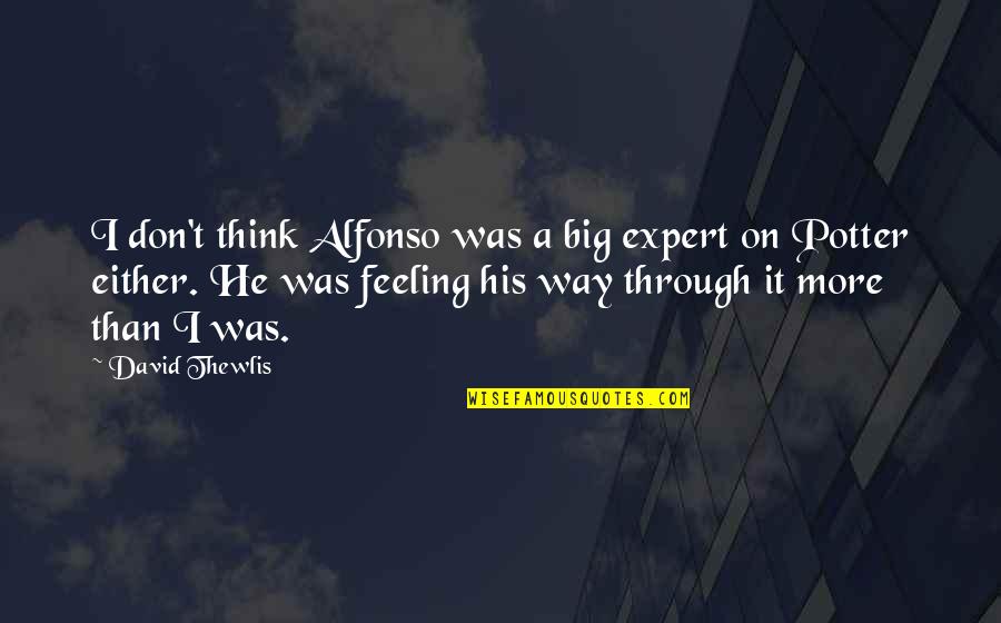 Alfonso Quotes By David Thewlis: I don't think Alfonso was a big expert