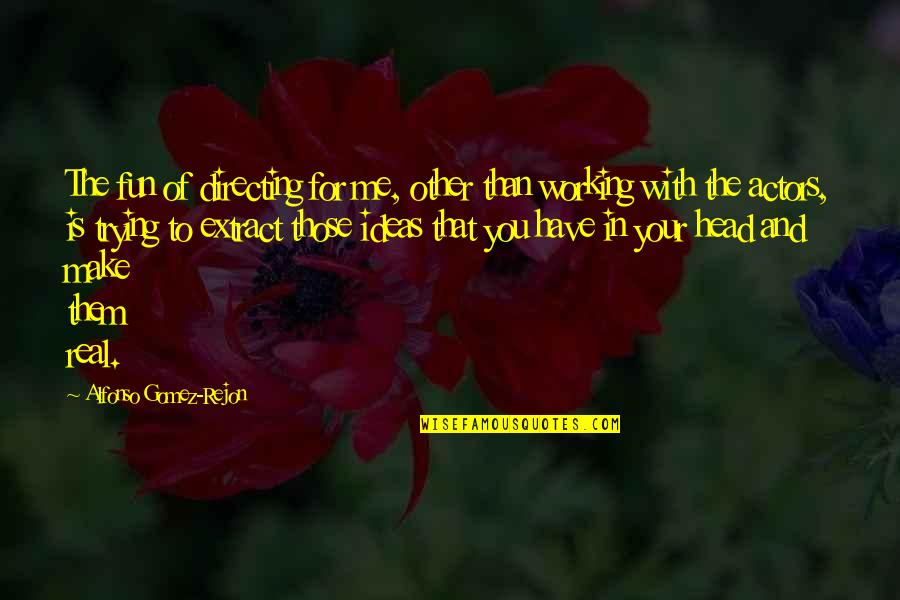 Alfonso X Quotes By Alfonso Gomez-Rejon: The fun of directing for me, other than Alfonso X Quotes By Alfonso Gomez-Rejon: The fun of directing for me, other than