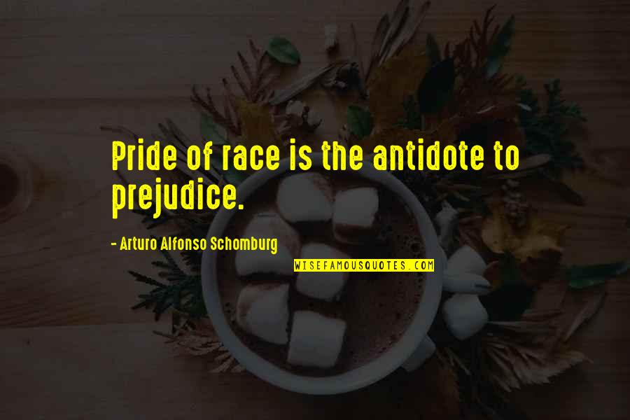 Alfonso's Quotes By Arturo Alfonso Schomburg: Pride of race is the antidote to prejudice.