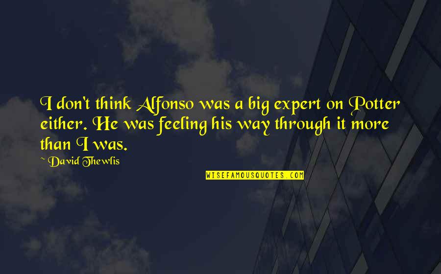 Alfonso's Quotes By David Thewlis: I don't think Alfonso was a big expert